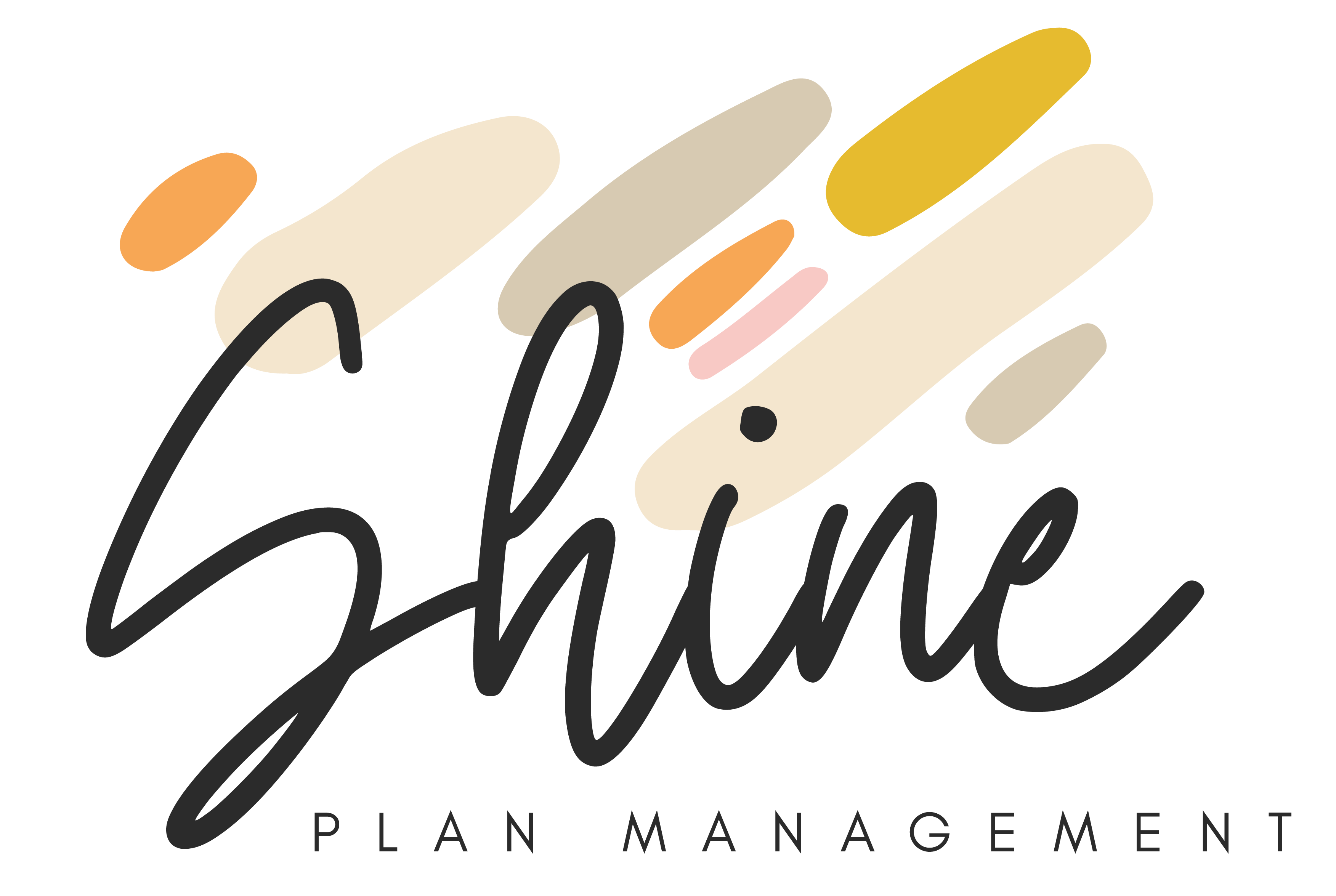 cropped-Shine-Plan-Management-Final-01-03.png